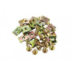 Sachet de 20 vis et 20...