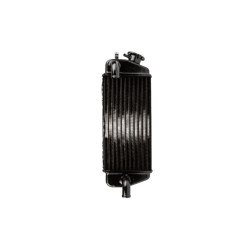 Radiateur Beta RR 50 type...